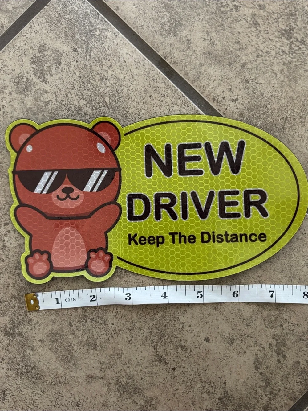 Teddy Bear New Driver Car Magnet